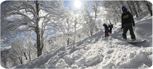 img_nozawa03.jpg